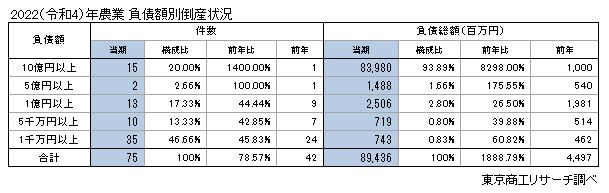 農業負債額別