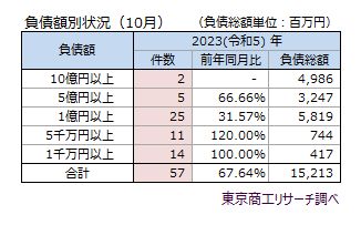 負債額別状況（10月）