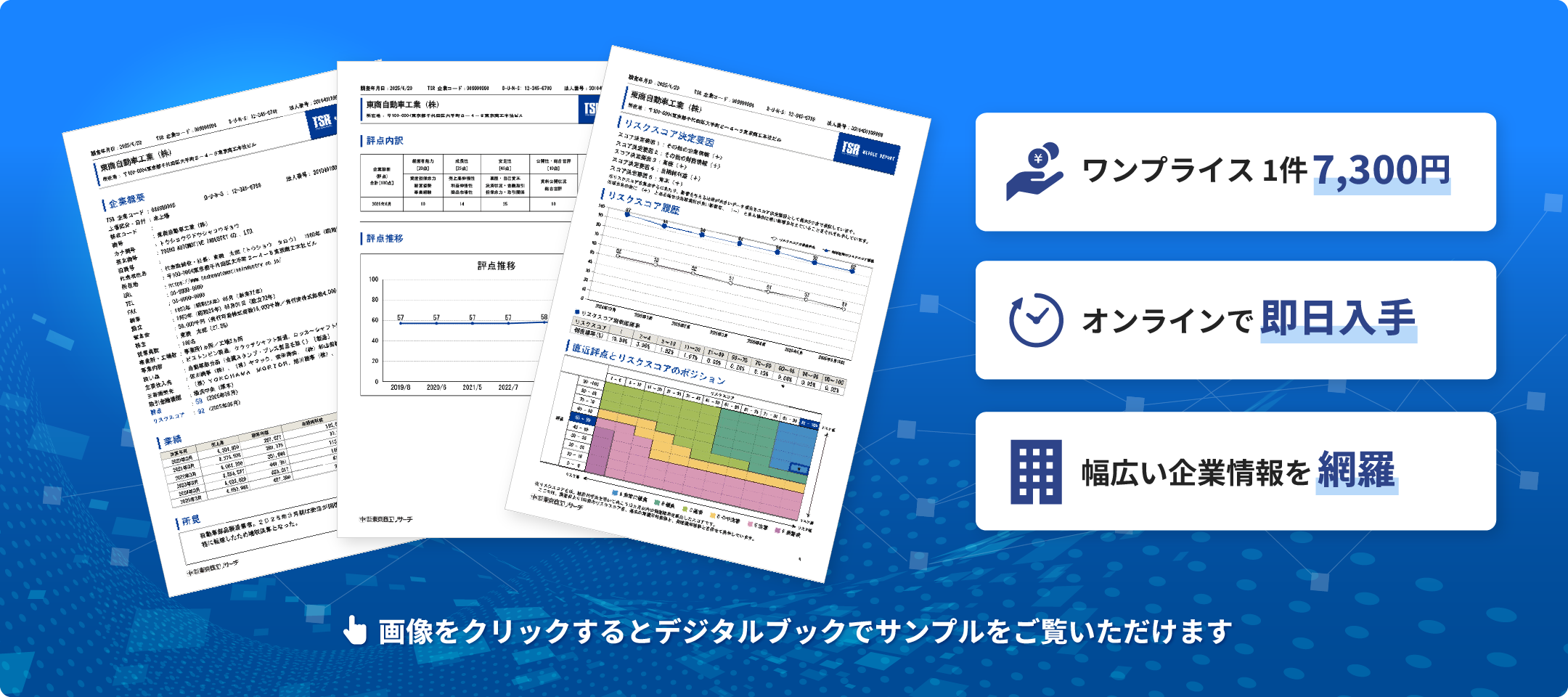 ミドルレポート(国内企業調査レポート)