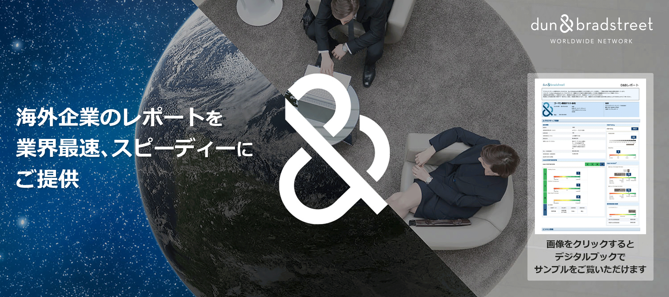 海外企業調査レポート(ダンレポート)