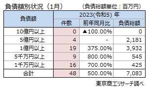 ゼロゼロ融資