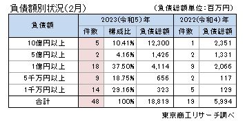 ゼロ・ゼロ融資後の倒産　負債額別状況
