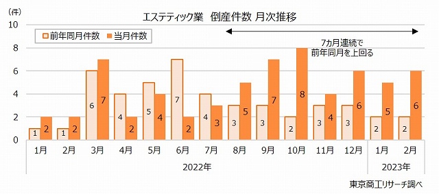 エステティック業　倒産件数 月次推移