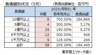 負債額別状況（5月）