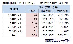 負債額別状況（上半期）