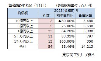 負債額別状況（11月）