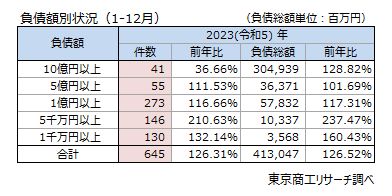 負債額別状況（1-12月）