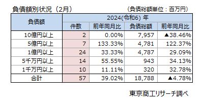 負債額別状況（2月）