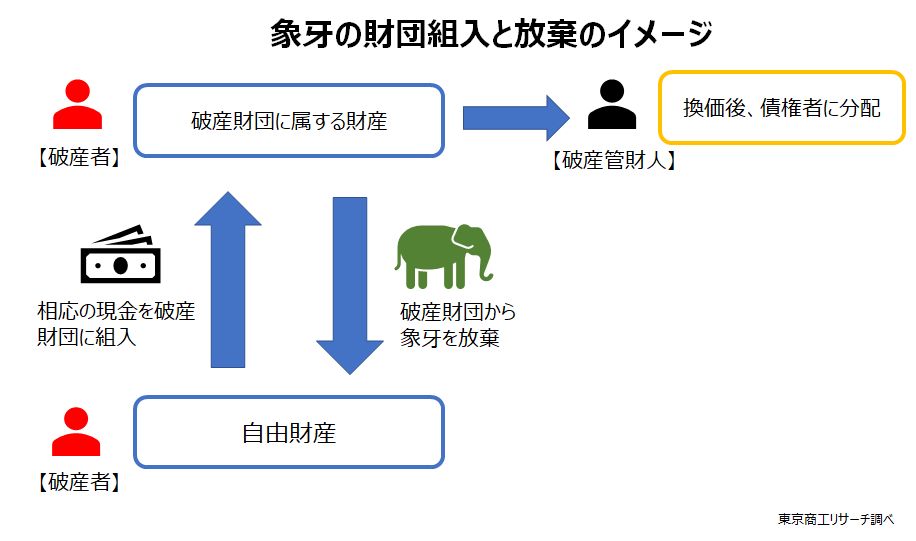 象牙の財団組入と放棄のイメージ