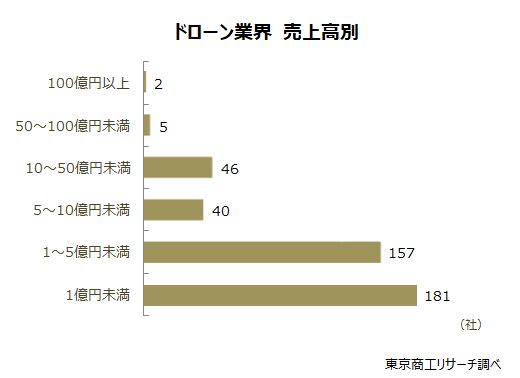 ドローン業界　売上高別