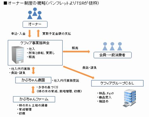 オーナー制概略図