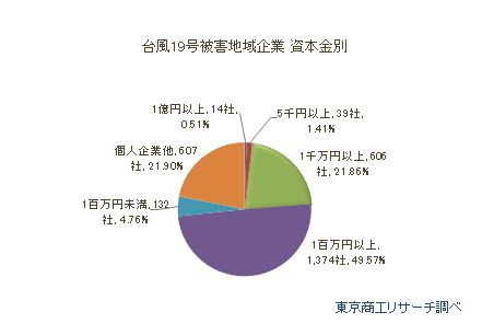 台風19号被災地域企業　資本金別