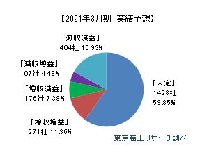 2021年3月期決算見通し