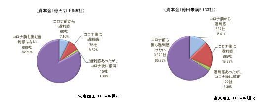 （資本金1億円以上845社）（資本金1億円未満5,133社）