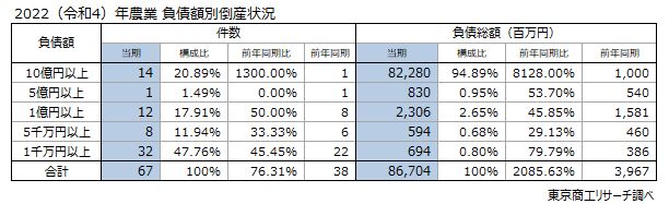 農業負債額別