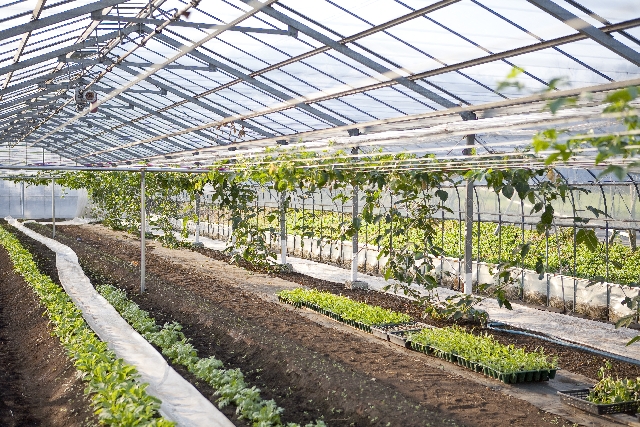 ※画像は実際の企業と関係はありません