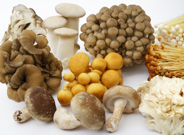 ※画像は実際の企業と関係はありません