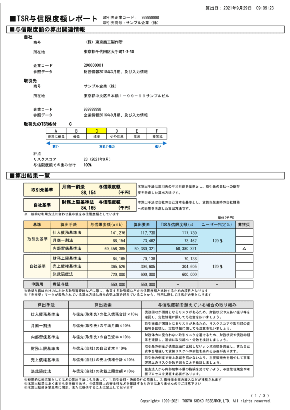 サンプルレポート