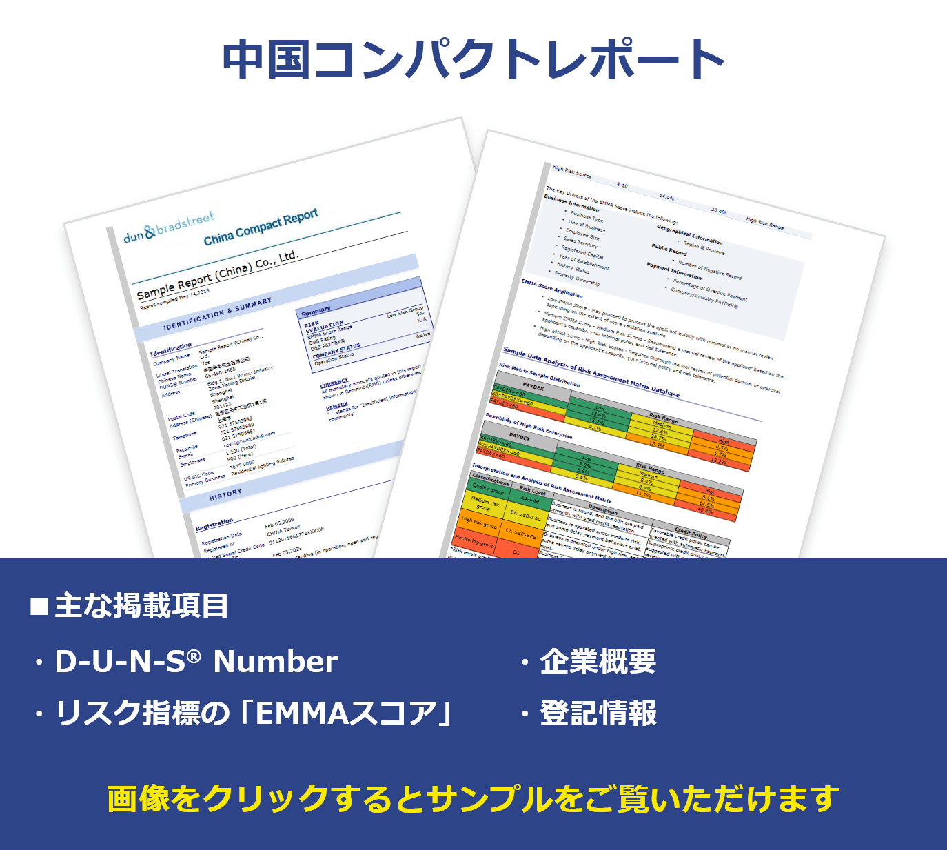 中国コンパクトレポート