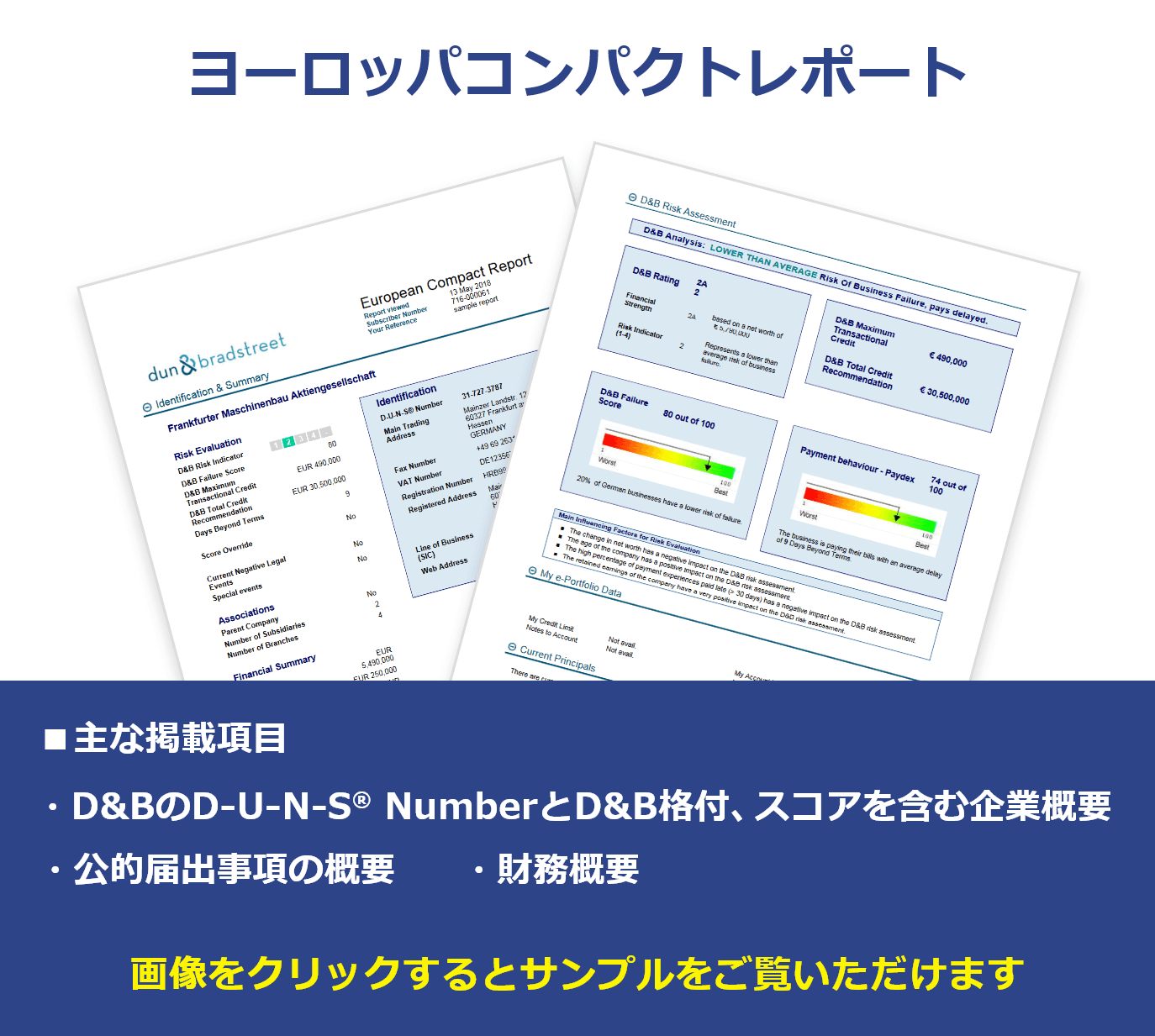 ヨーロッパコンパクトレポート