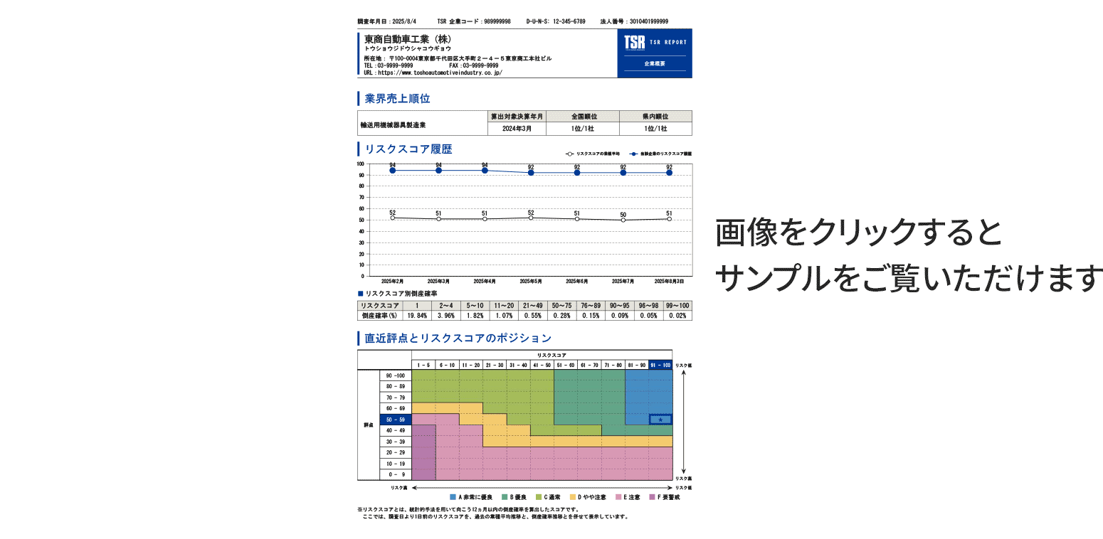 TSR REPORTサンプル